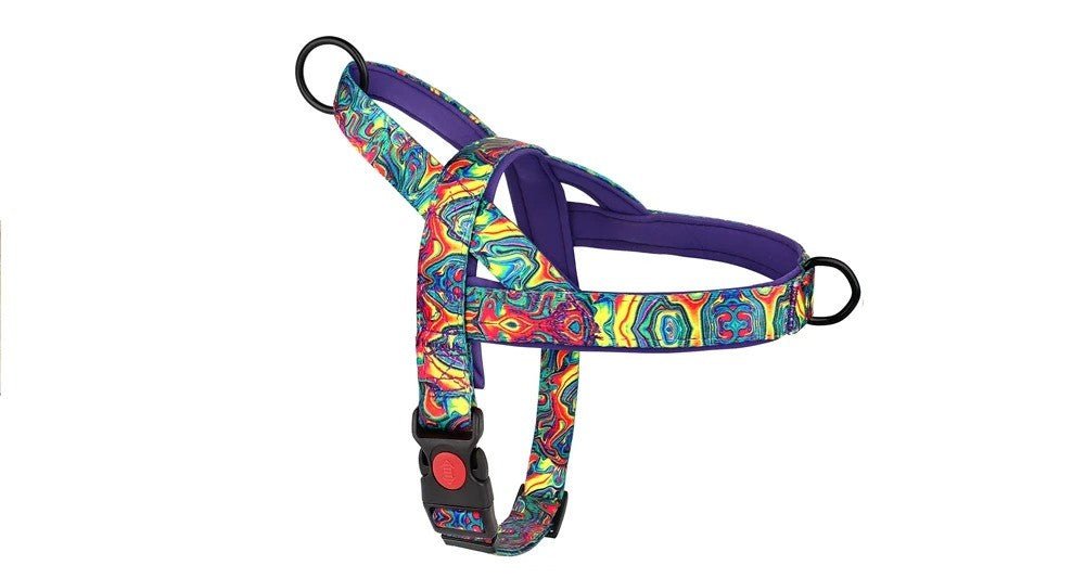 Chien harnais - NylonSFP - Mon chien confortable