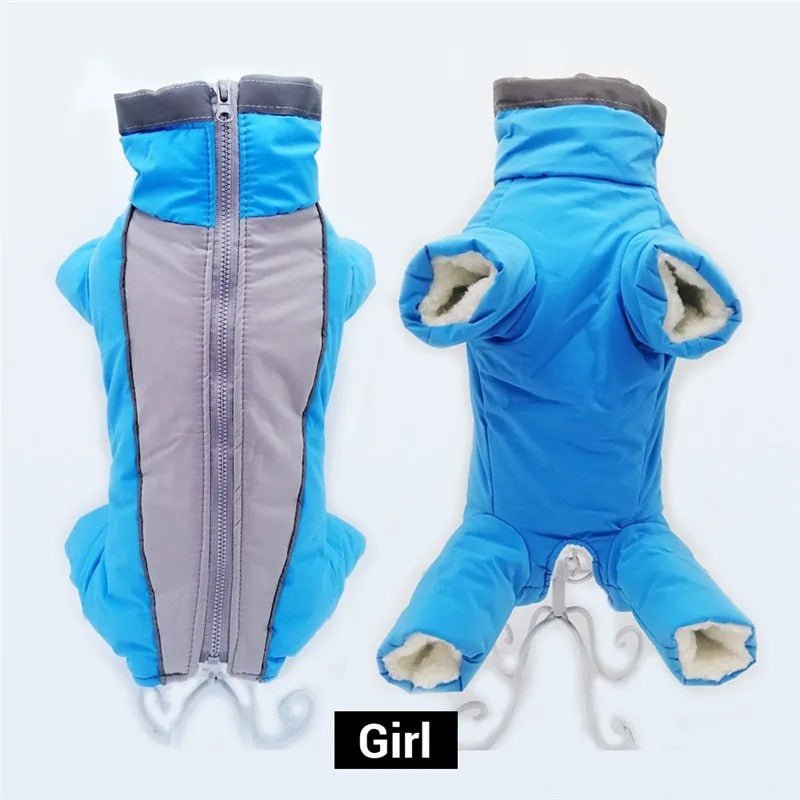 chien manteau - Mon chien confortable