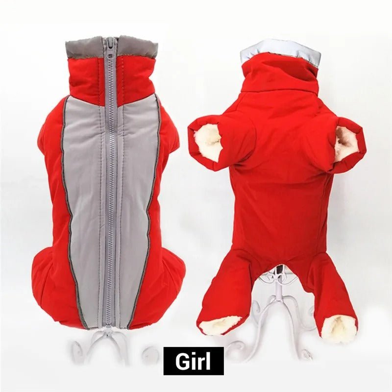 chien manteau - Mon chien confortable
