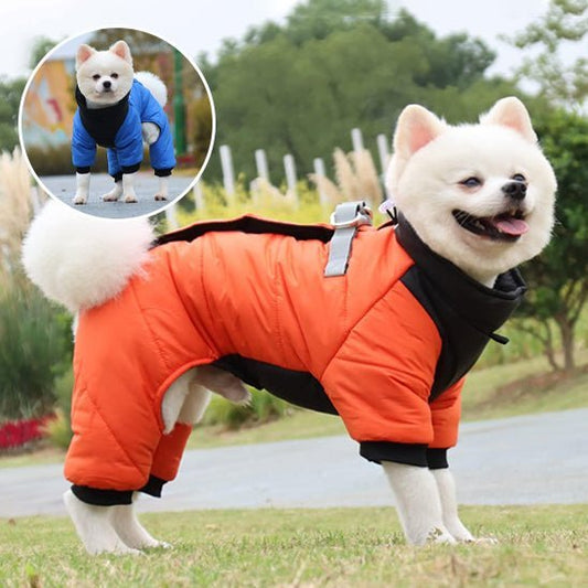chien manteau - Mon chien confortable
