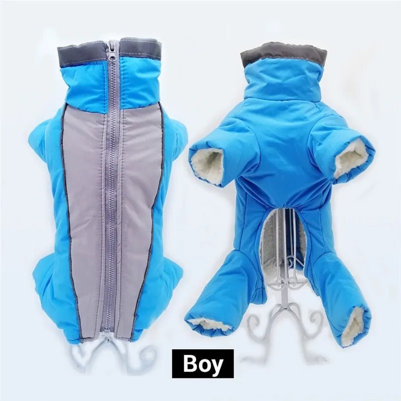 chien manteau - Mon chien confortable