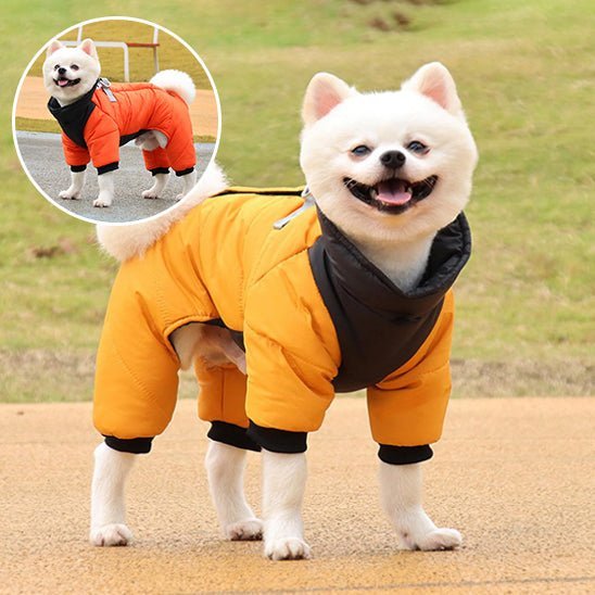 chien manteau - Mon chien confortable