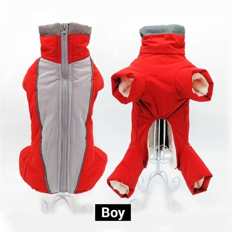 chien manteau - Mon chien confortable