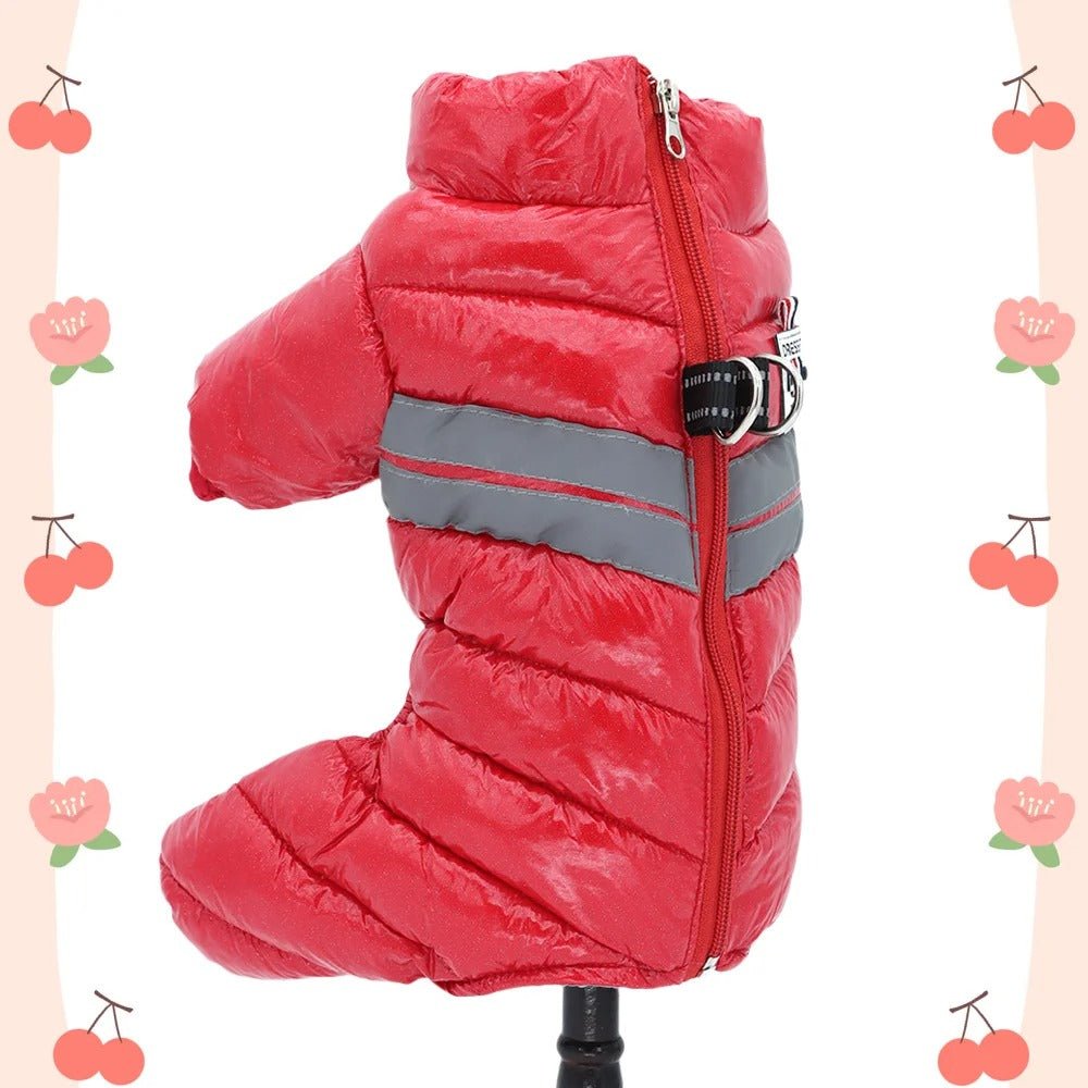 Chien manteau - Hiver - Mon chien confortable