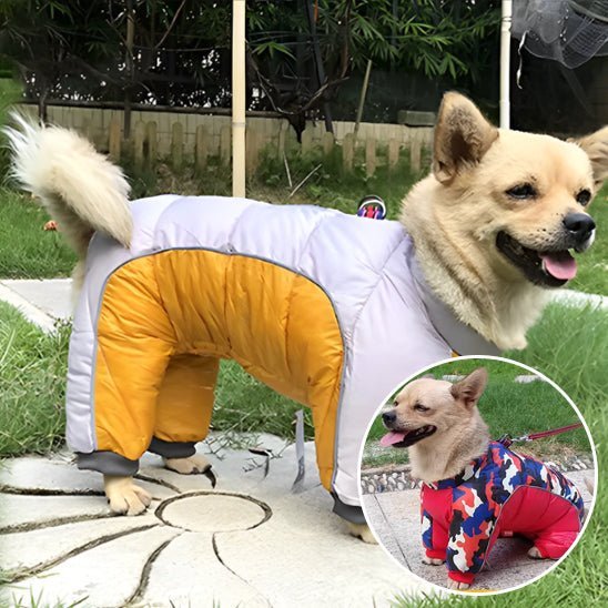 Chien manteau - Hiver - Mon chien confortable