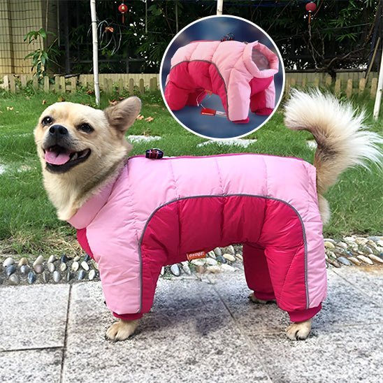 Chien manteau - Hiver - Mon chien confortable