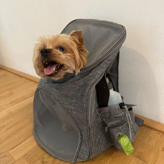 Chien sac de transport - Mon chien confortable