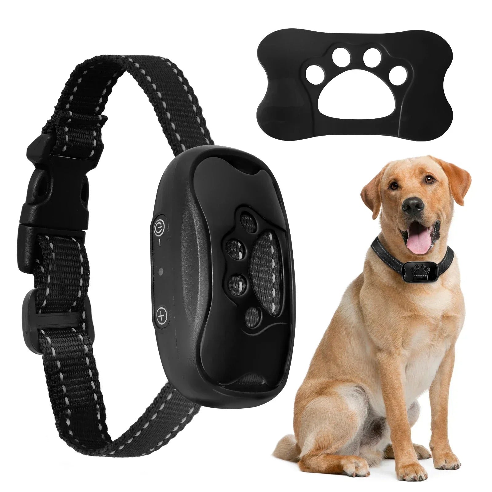 collier anti aboiement chien - Mon chien confortable