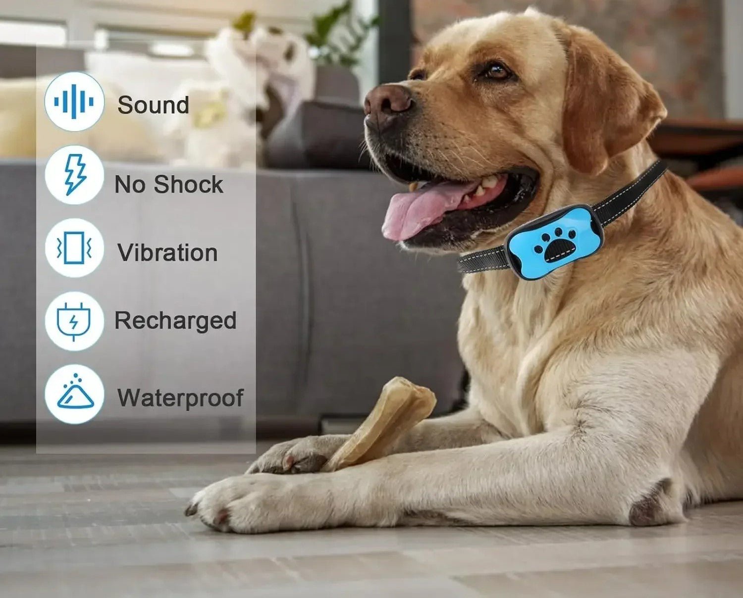 collier anti aboiement chien - Mon chien confortable