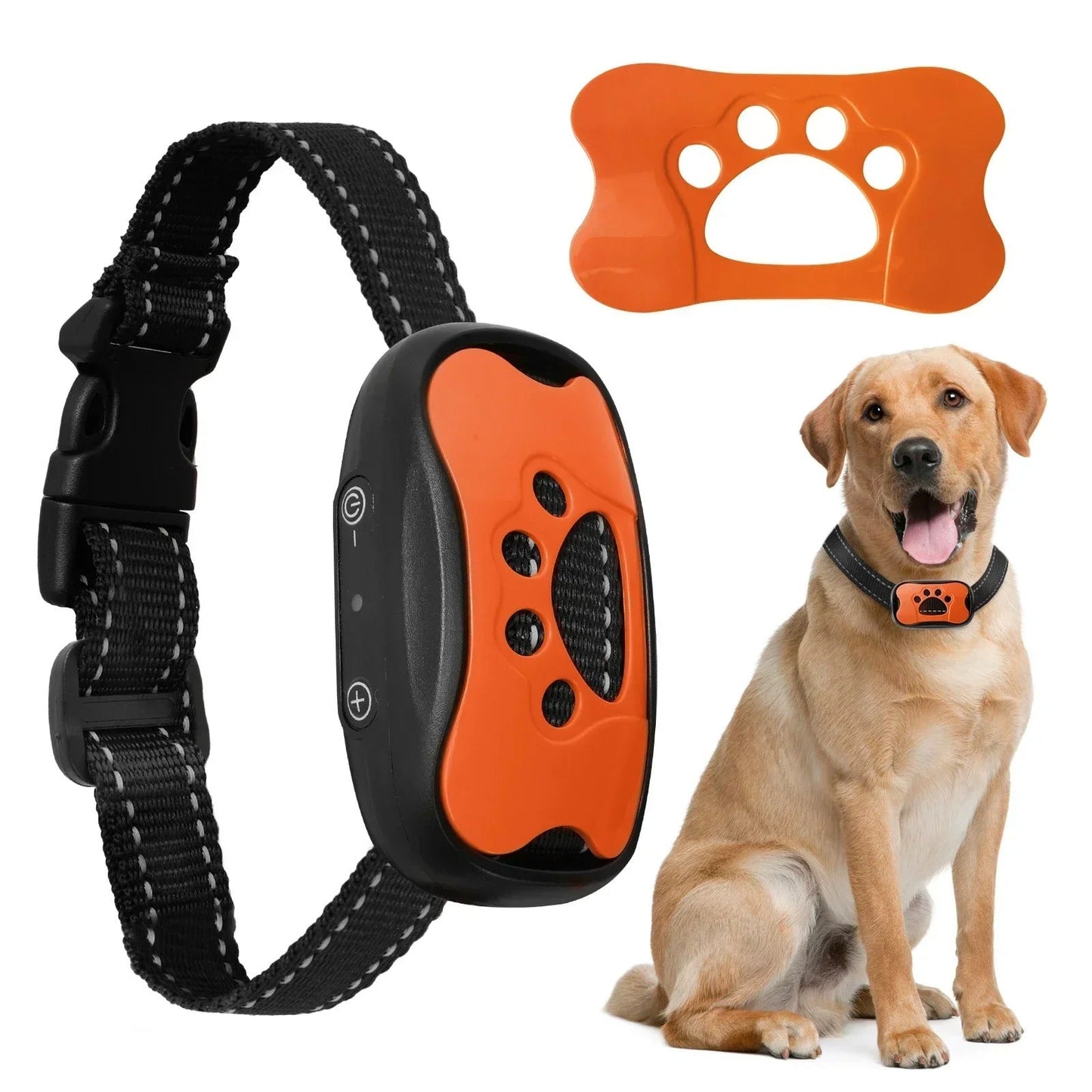 collier anti aboiement chien - Mon chien confortable