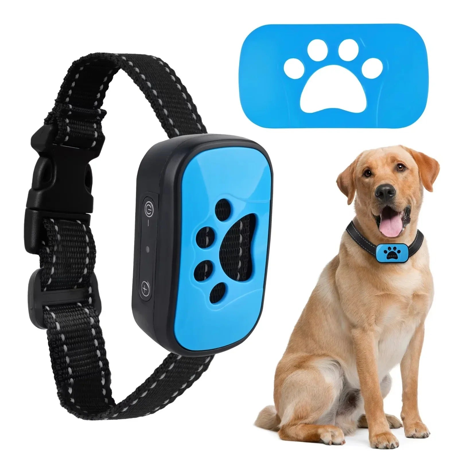 collier anti aboiement chien - Mon chien confortable