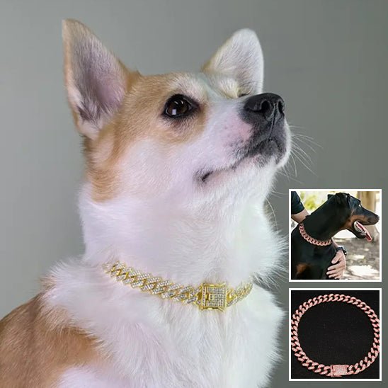 collier chaine chien - Mon chien confortable