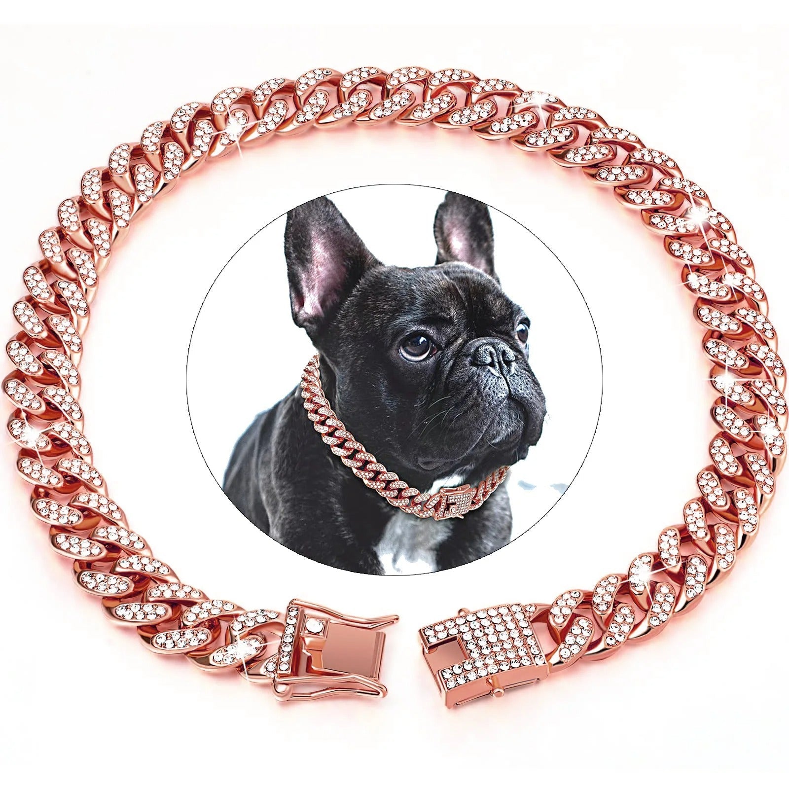 collier chaine chien - Mon chien confortable