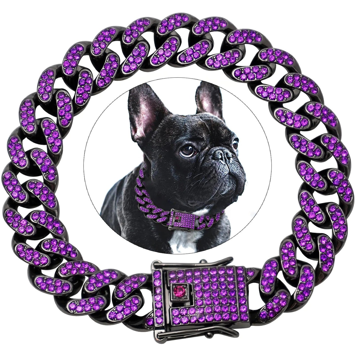 collier chaine chien - Mon chien confortable