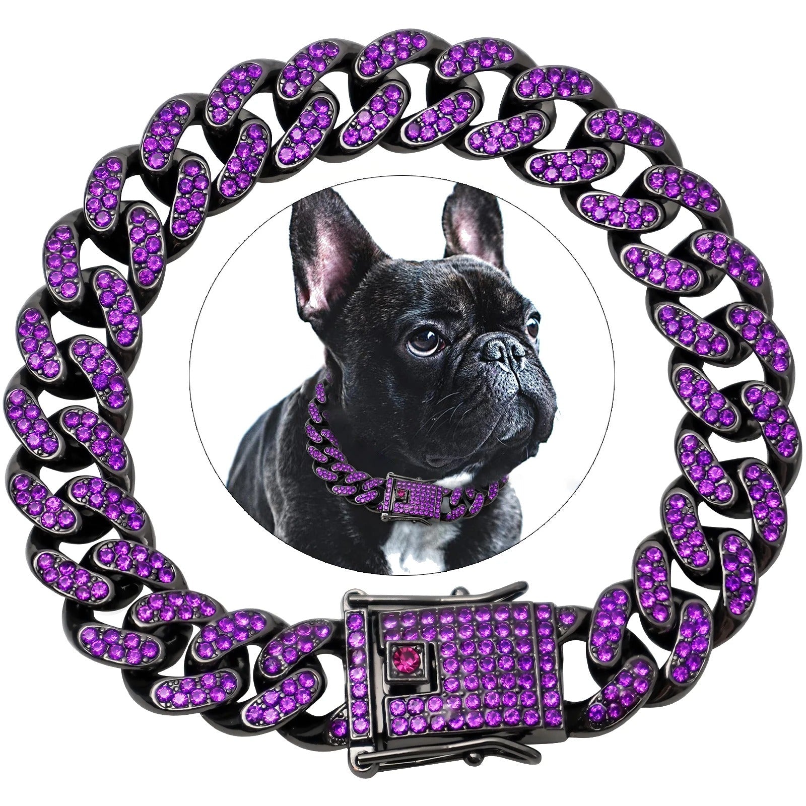 collier chaine chien - Mon chien confortable