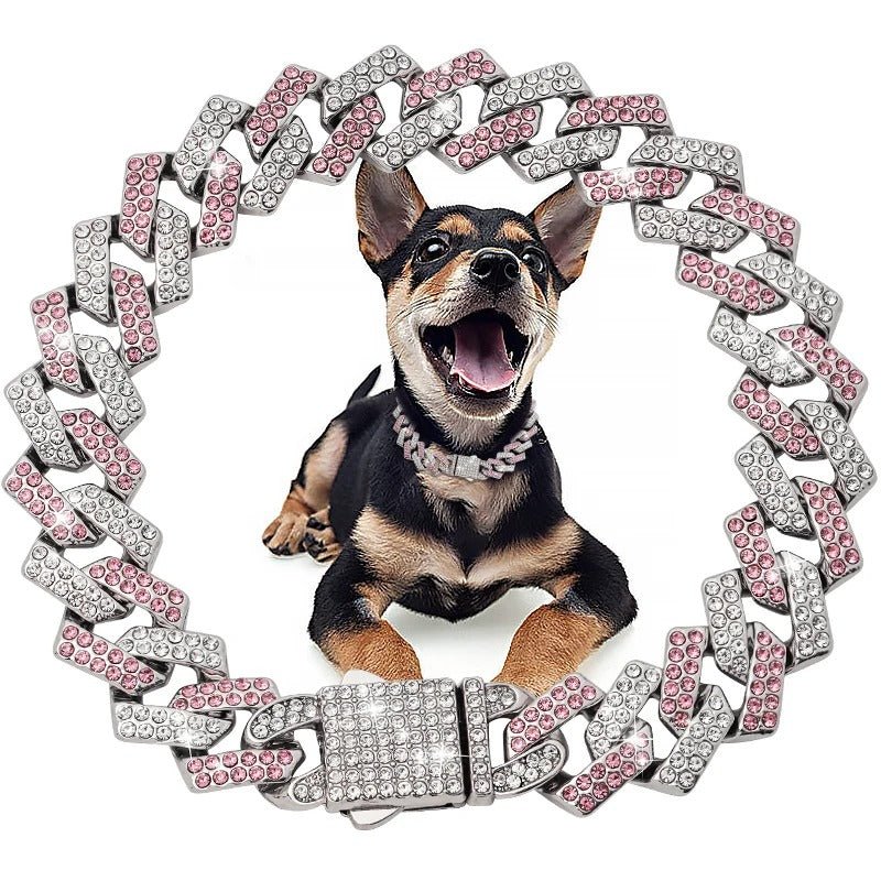 collier chaine chien - Mon chien confortable