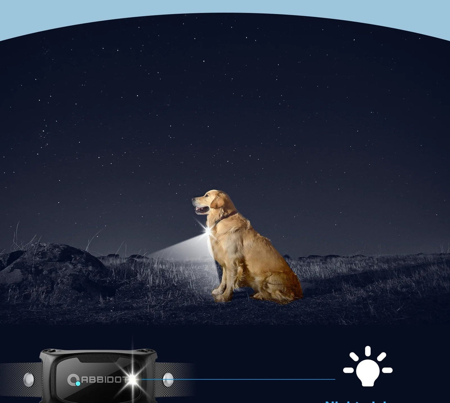 collier chien de dressage - Mon chien confortable