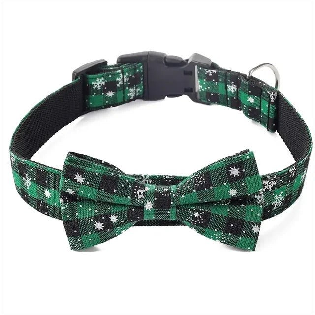 collier chien personnalisé - GR - Mon chien confortable