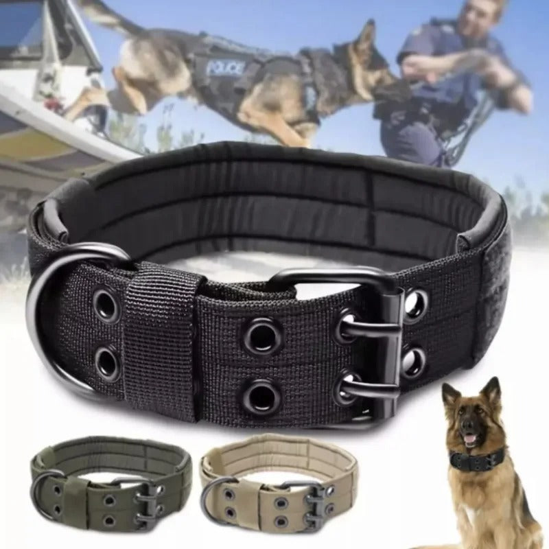 collier chien-ML