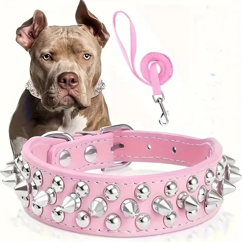 collier cuir chien - Mon chien confortable
