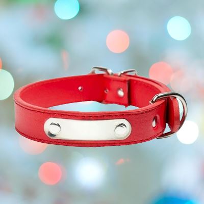 Collier de Chien - LeatherDogCollar™ - Rouge - Mon chien confortable