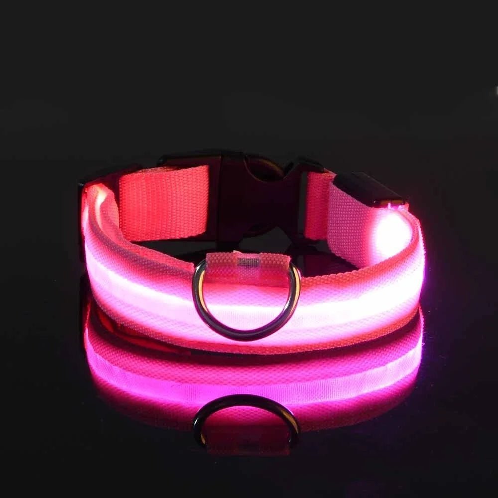 Collier de Chien - LEDCollarDog™ - Rose - Mon chien confortable