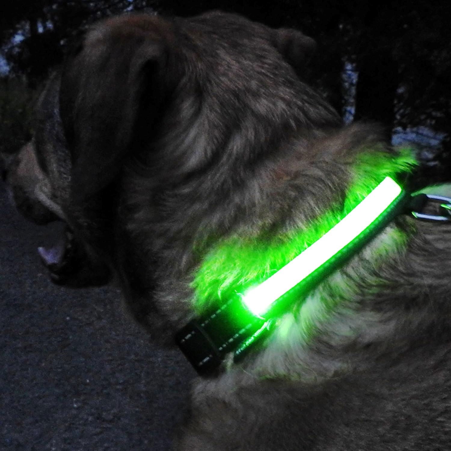 Collier de Chien - LEDCollarDog™ - Vert - Mon chien confortable