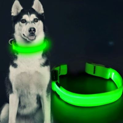 Collier de Chien - LEDCollarDog™ - Vert - Mon chien confortable