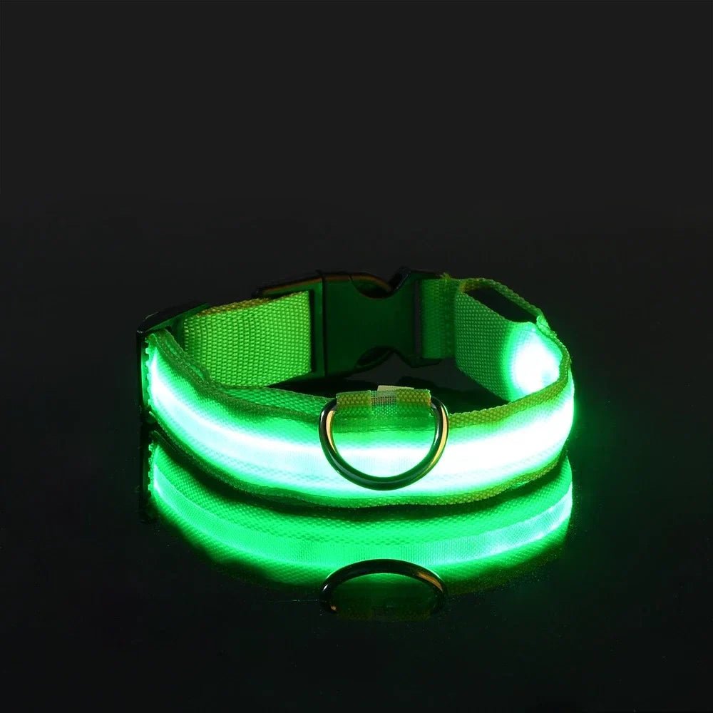 Collier de Chien - LEDCollarDog™ - Vert - Mon chien confortable