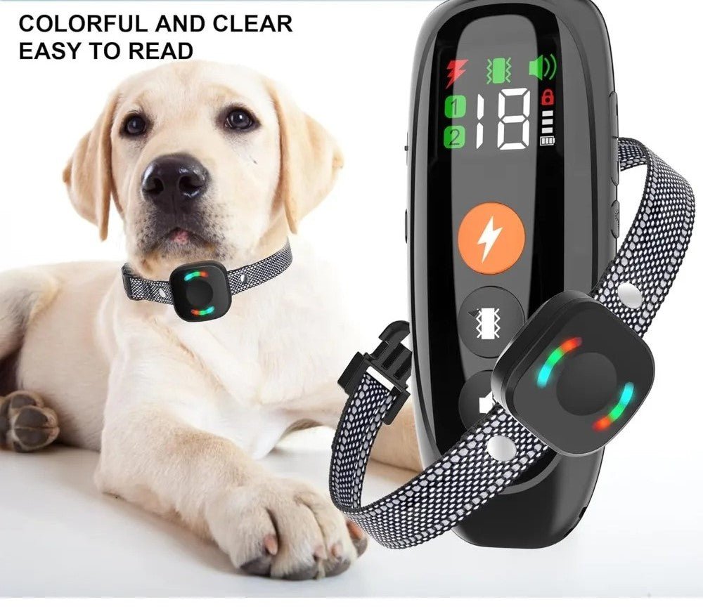 collier de dressage pour chien - Mon chien confortable