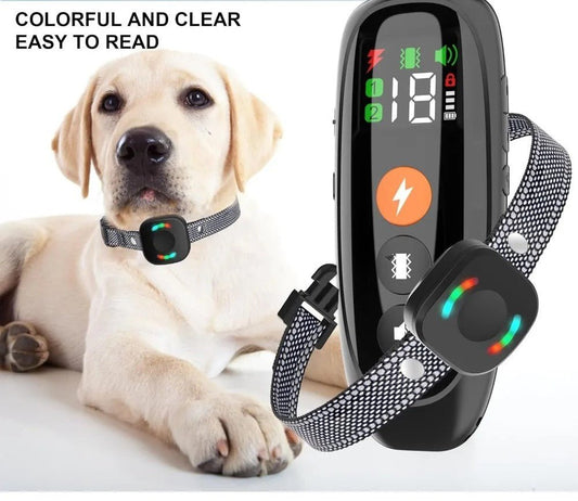 collier de dressage pour chien - Mon chien confortable
