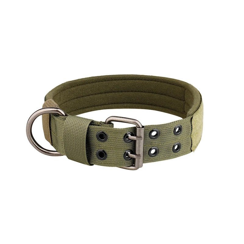 collier de dressage pour chien - Mon chien confortable