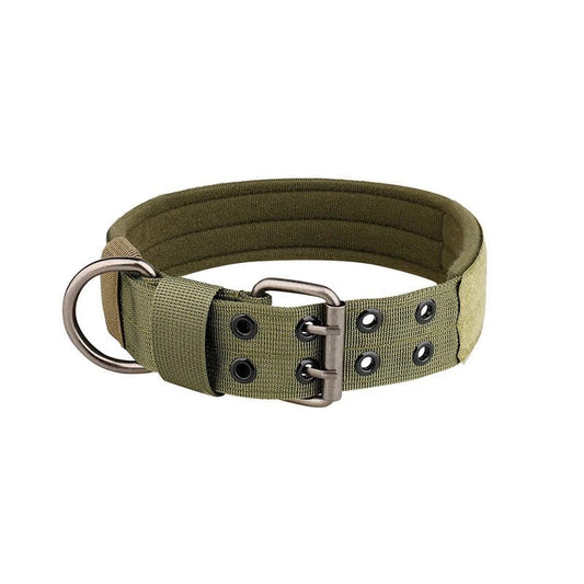 collier de dressage pour chien - Mon chien confortable