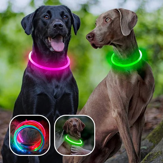 collier electrique chien - Mon chien confortable
