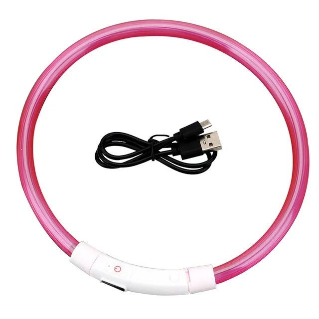 collier electrique chien - Mon chien confortable