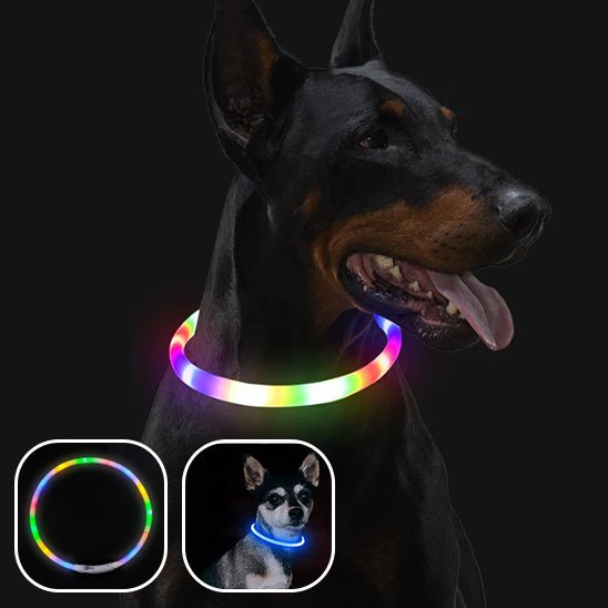 collier electrique chien - Mon chien confortable