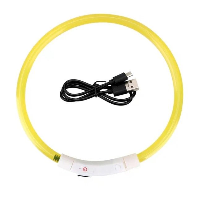 collier electrique chien - Mon chien confortable
