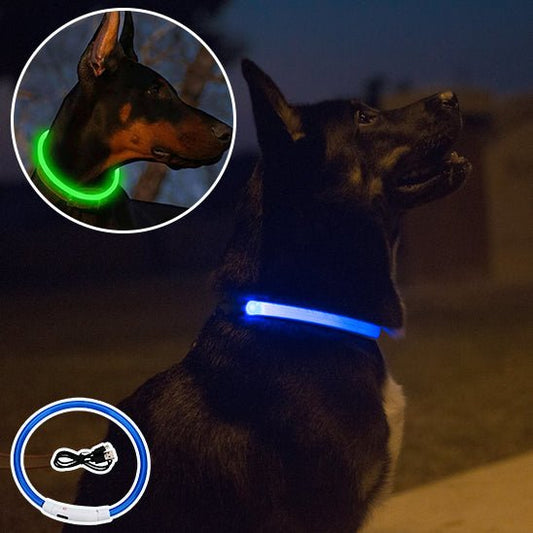 collier electrique chien - Mon chien confortable