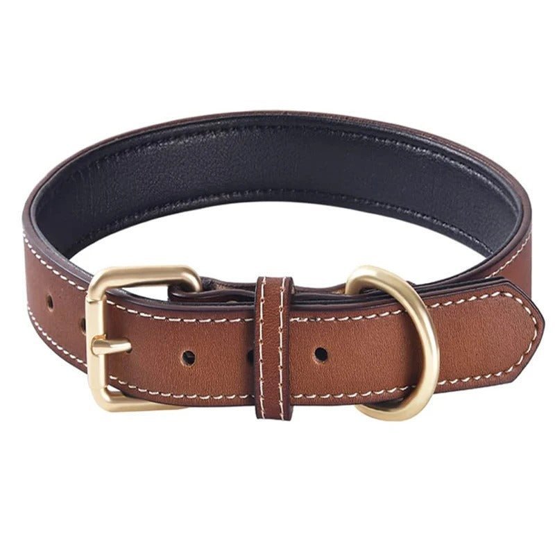 collier en cuir pour chien - Mon chien confortable