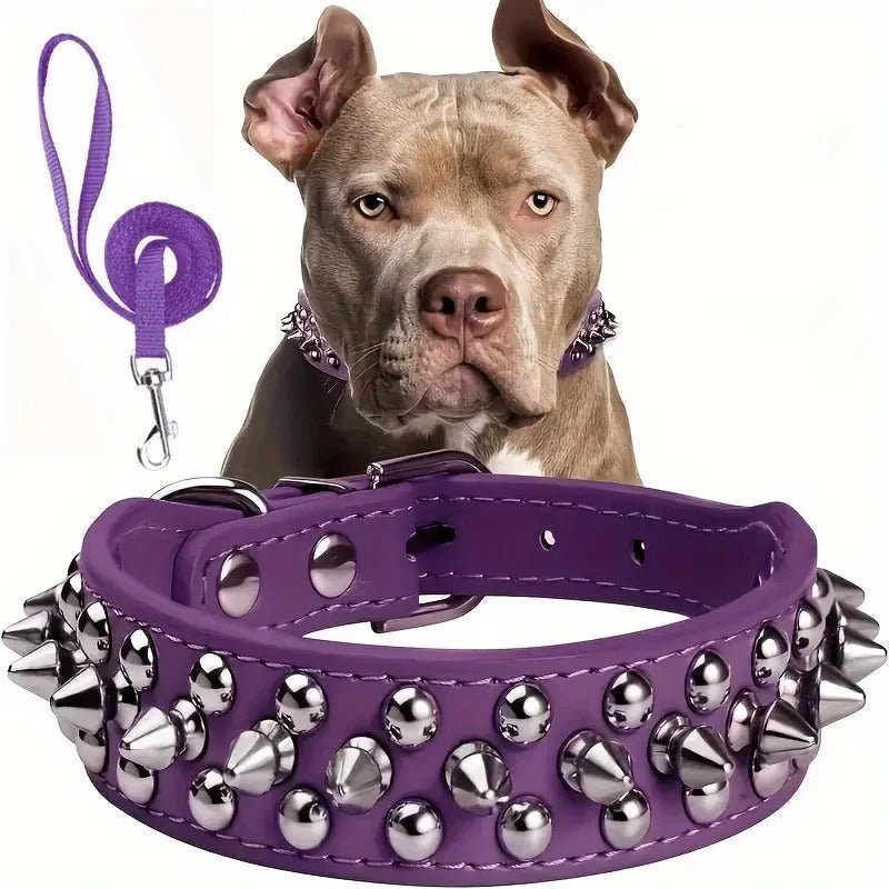 collier en cuir pour chien - Mon chien confortable
