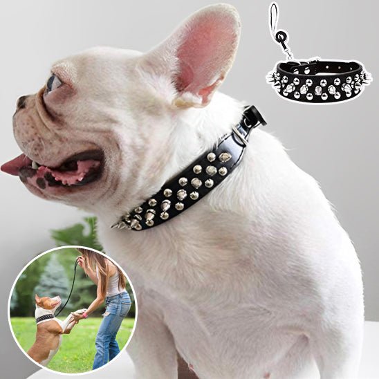 collier en cuir pour chien - Mon chien confortable