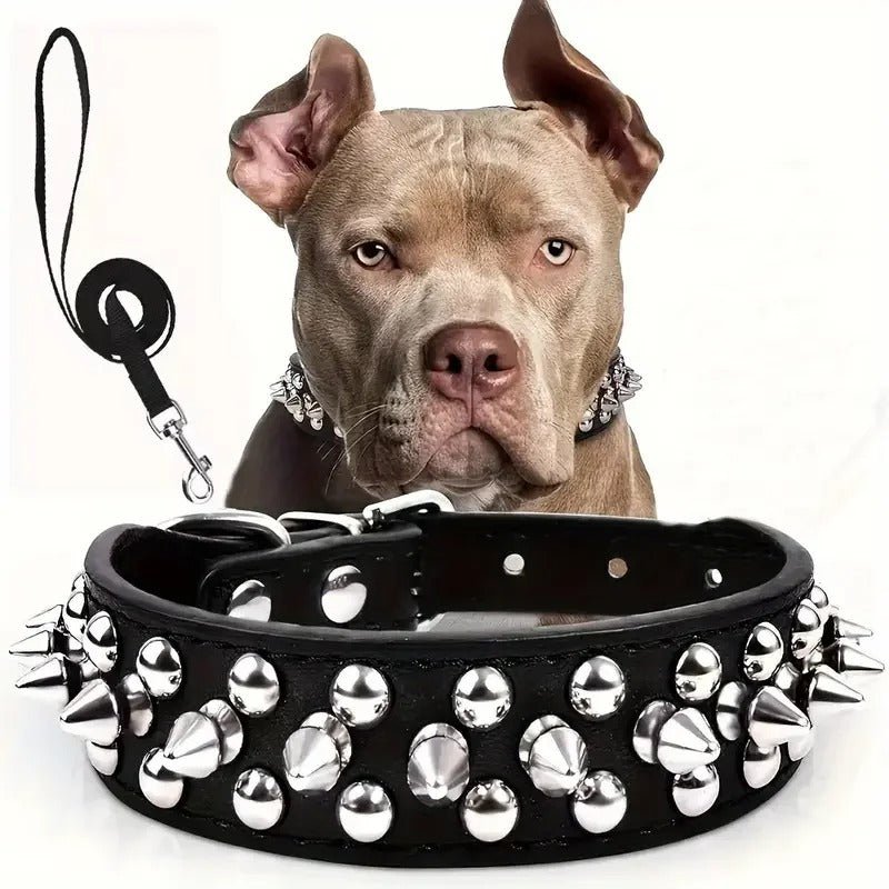collier en cuir pour chien - Mon chien confortable