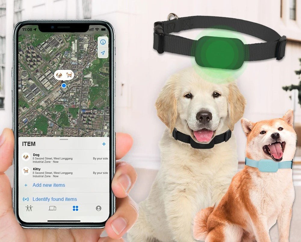 collier gps chien - Mon chien confortable
