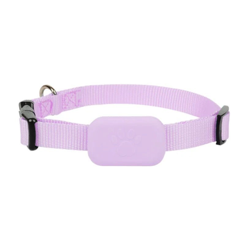 collier gps chien - Mon chien confortable