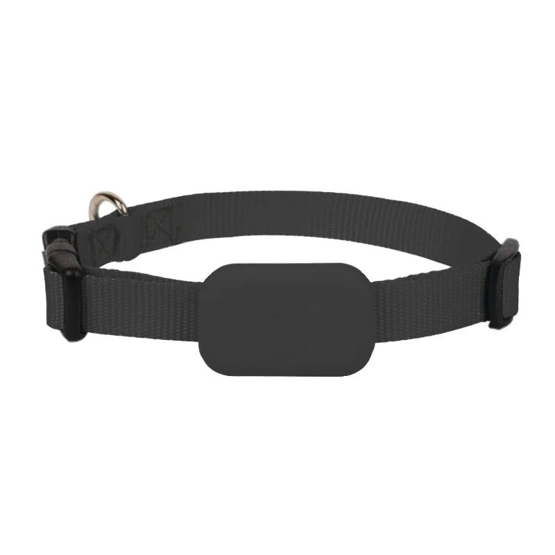 collier gps chien - Mon chien confortable