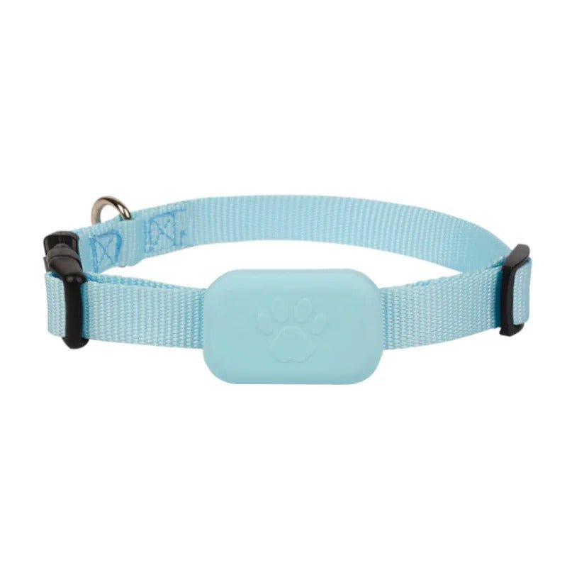 collier gps chien - Mon chien confortable