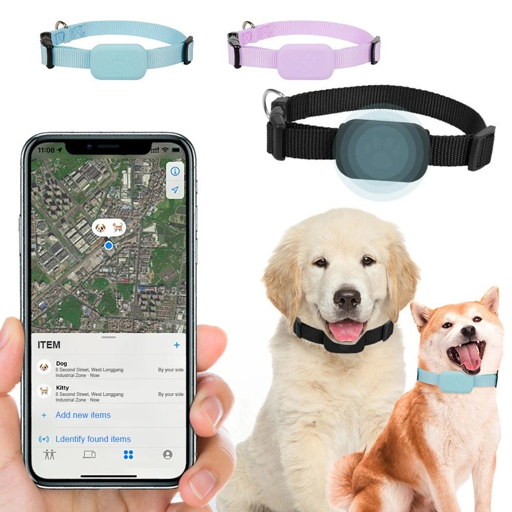 collier gps chien - Mon chien confortable