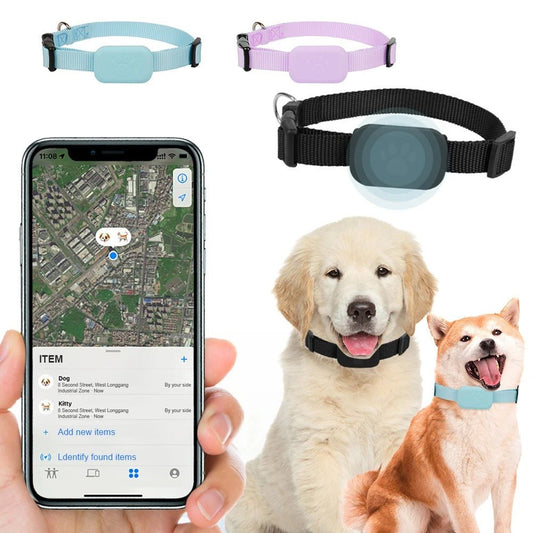 collier gps chien - Mon chien confortable
