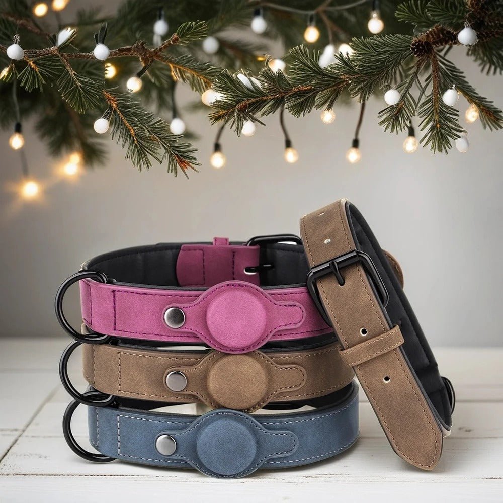 collier gps pour chien - Mon chien confortable