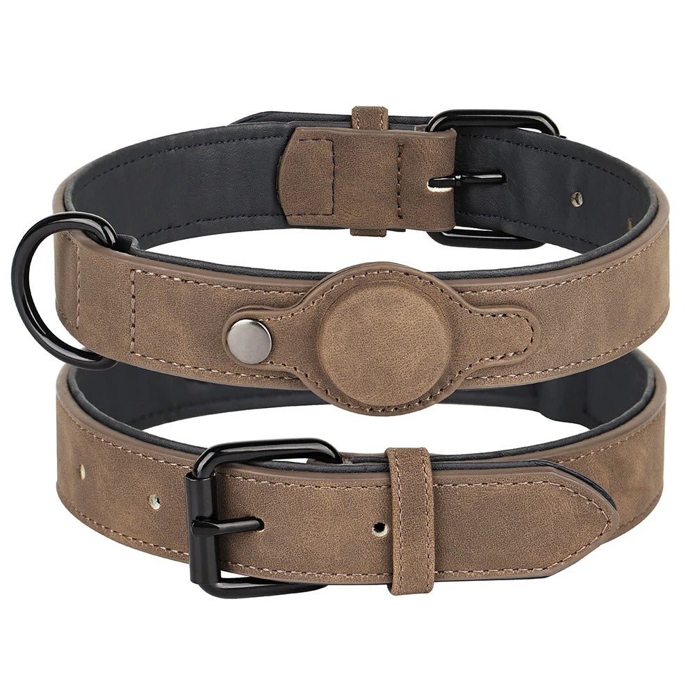 collier gps pour chien - Mon chien confortable